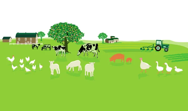 Agriculture conviviale avec ferme — Image vectorielle