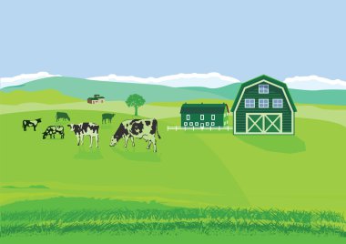 Çiftliği olan mera üzerinde ineklerin