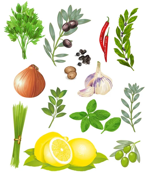 Spices Herbs Vector Illustration — Stock Vector