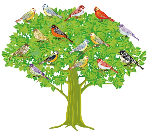 Groupe Oiseaux Chanteurs Sur Arbre — Image vectorielle