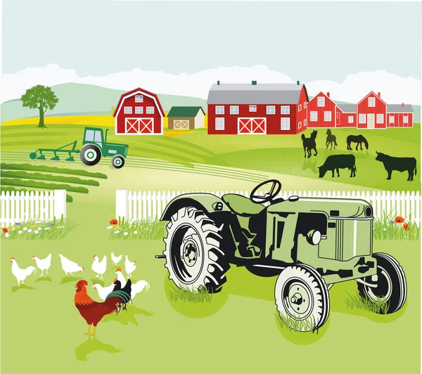 Agriculture Conviviale Avec Volaille Ferme Tracteur — Image vectorielle