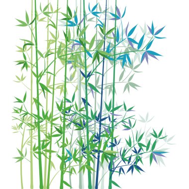 Bambu beyaz zemin üzerine