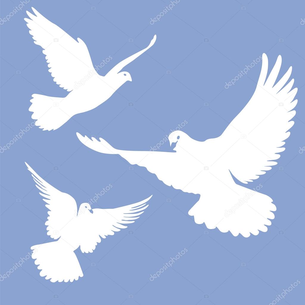 Flying white doves