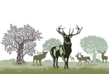 Kızıl geyik paketi