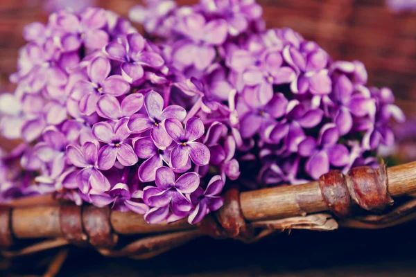 Fleurs lilas sur une table en bois — Photo