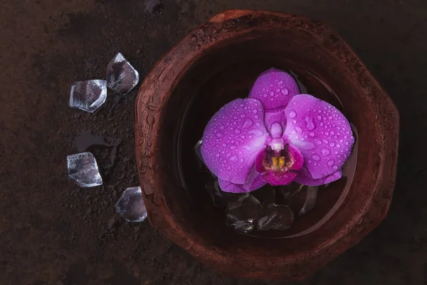 Flor Orquídea Rosa Phalaenopsis Tazón Agua Cristales Sobre Fondo Oxidado — Foto de Stock