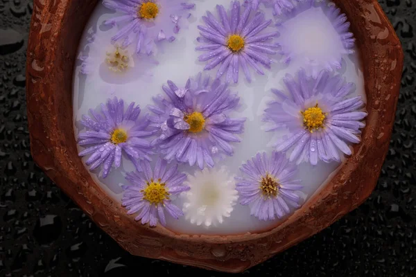 Aster flowers in a bowl with milk on wet black table. Top view