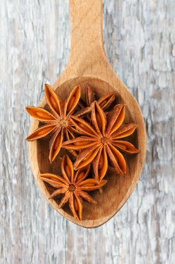 Tahta kaşıkta anason yıldızları