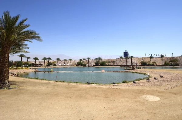 Parc national du Timna — Photo