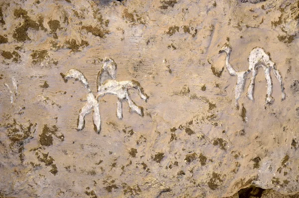 Parc national du Timna — Photo