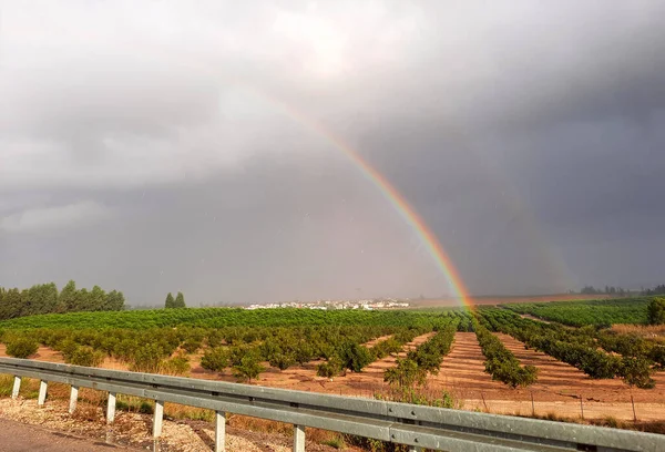 Regnbåge Över Plantering Regnmoln — Stockfoto