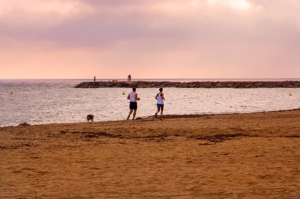 Uomo, donna e cane corrono insieme sulla spiaggia . Immagine Stock