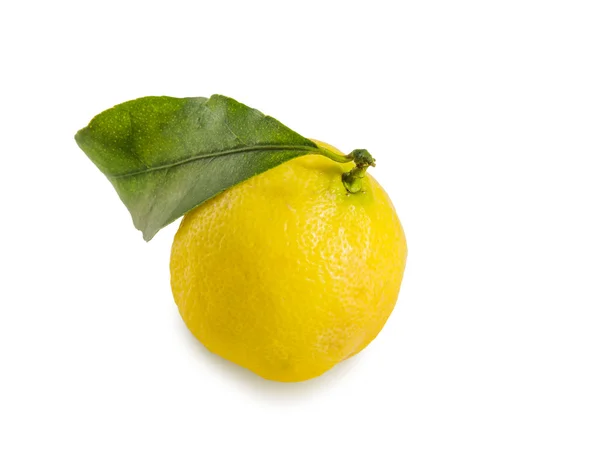 Fresh lemon with green leaf on white. — Stock Photo, Image