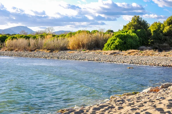 Vad kavicsos strand a bozót és sziluett-hegység. — Stock Fotó