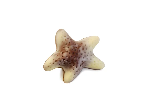 Chocolate estrela do mar isolado sobre branco com recorte caminho . — Fotografia de Stock