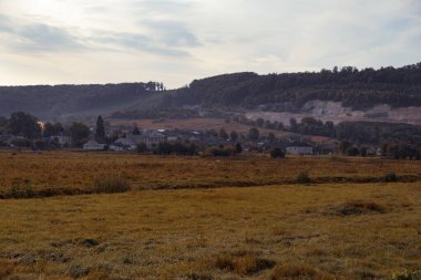 Yazın kırsal alanda vahşi panoramik 