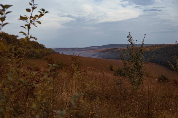 Malerischer Blick Auf Endlose Hügel Nebligen Morgen lizenzfreie Stockfotos