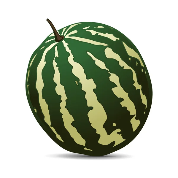 Reife Wassermelone auf weißem Hintergrund — Stockvektor