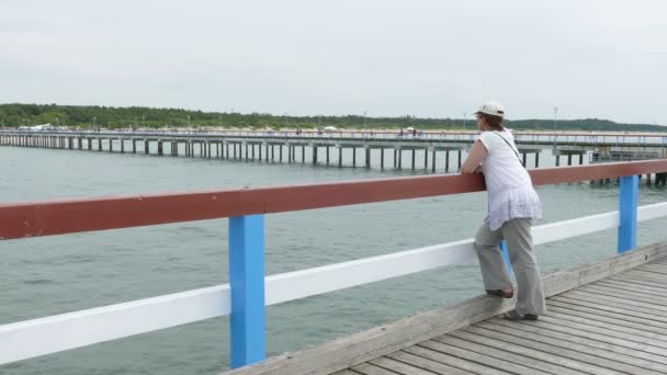 Palanga Sea Bridge, Lituania — Video Stock