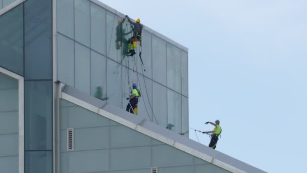 Industriële klimmers - venster sluitringen schone gevel van nieuw gebouw — Stockvideo