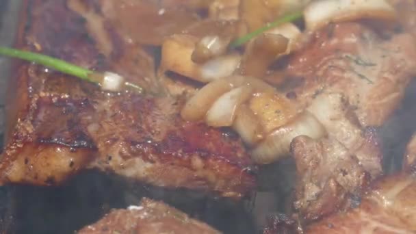 Pork Meat Steak on Barbecue Grill — Stock Video