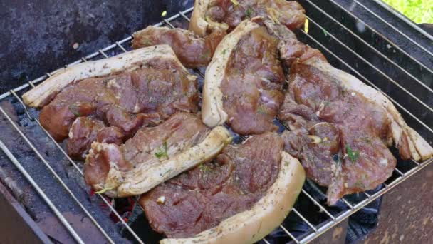 Filete de carne de cerdo cruda en parrilla de barbacoa — Vídeos de Stock