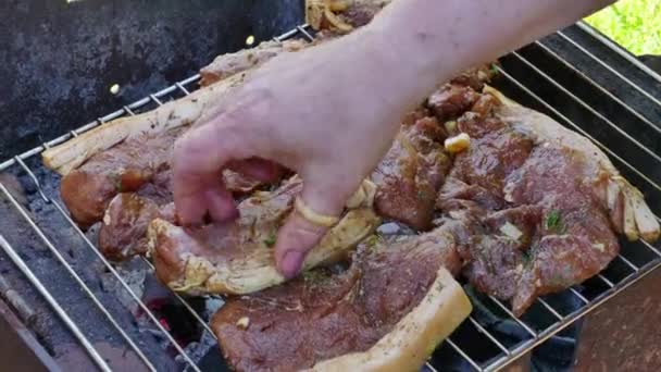 Filete de carne de cerdo cruda en parrilla de barbacoa — Vídeos de Stock