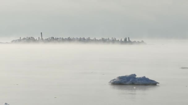 Niebla sobre el mar tranquilo en frío día de invierno — Vídeos de Stock