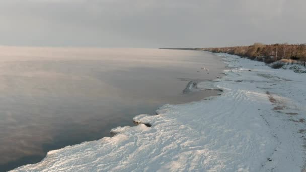 Soğuk kış gününde sisli, sakin denizin üstünde — Stok video