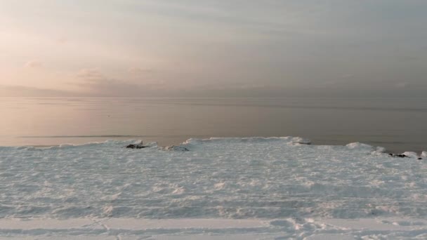 Ηλιοβασίλεμα σε μια ήρεμη θάλασσα με παγωμένη παραλία. — Αρχείο Βίντεο