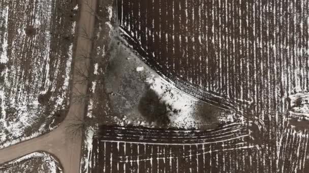 Pemandangan udara dengan jalan pedesaan dan salju menutupi lahan pertanian yang dibajak — Stok Video