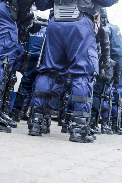 İsyan polis birimi