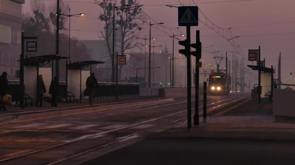 Homme traversant la grande route tôt le matin brumeux — Video