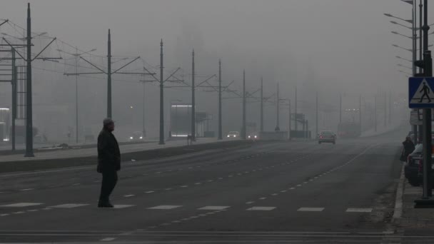 Άνθρωπος διέλευσης ευρεία εθνική οδό πρόωρη misty πρωί — Αρχείο Βίντεο