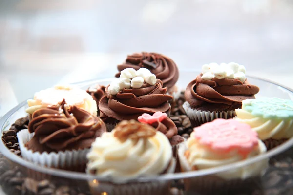 Taze çikolata tatlılar — Stok fotoğraf