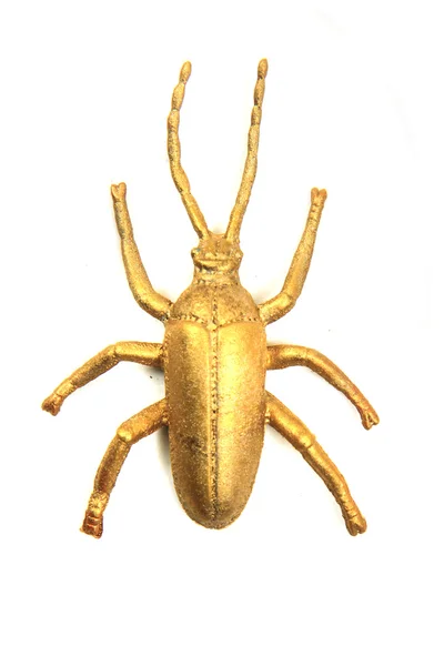 分离的金黄色甲虫 — 图库照片