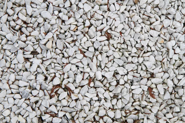 Small white stones texture — Stock Photo, Image