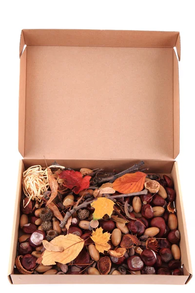 Podzimní Les produkce v papírové krabičce — Stock fotografie