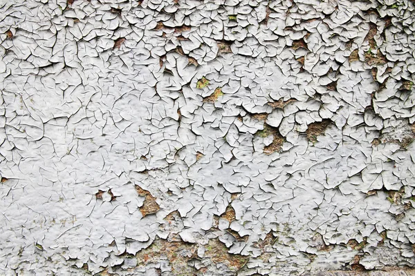 Oude beschadigd witte muur — Stockfoto