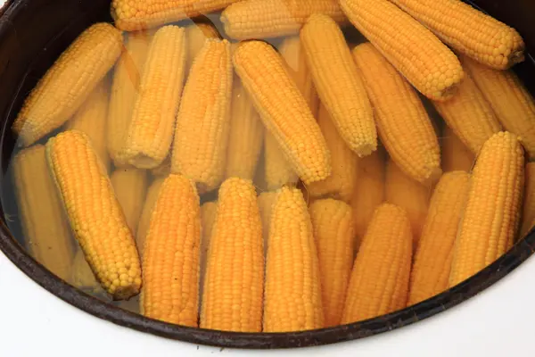 Sweet corn cooking — Stock Photo, Image
