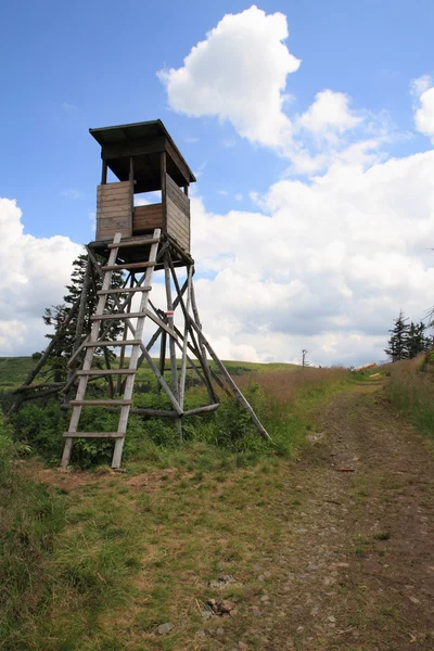 Verbergen in de bergen — Stockfoto