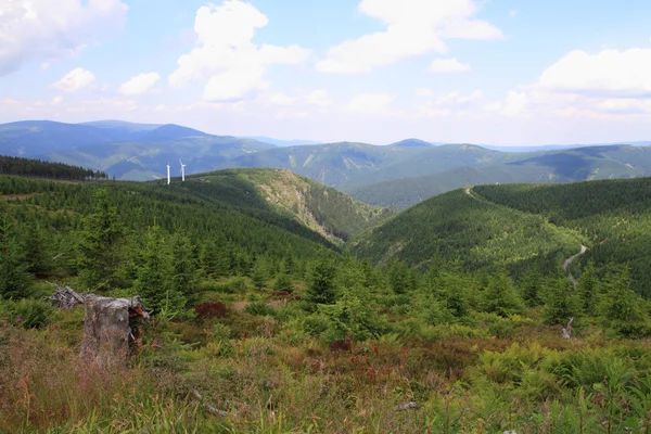 耶塞尼克山山脉性质 — 图库照片