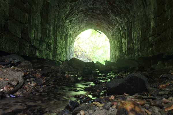 Viejo túnel en el bosque — Foto de Stock