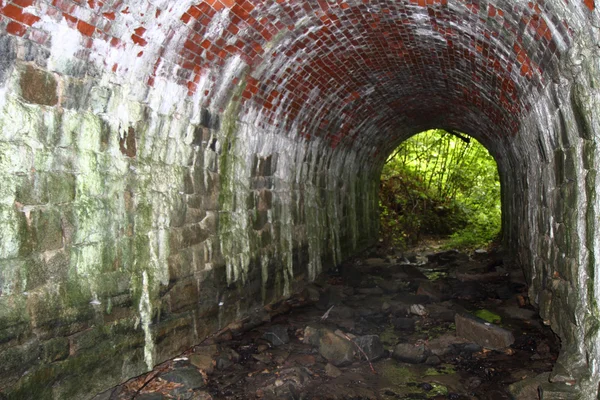 Gamla tunnel i skogen — Stockfoto