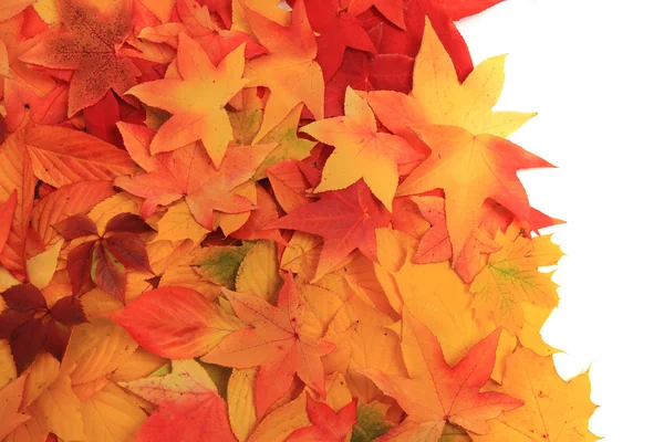 Hojas de otoño Textura — Foto de Stock