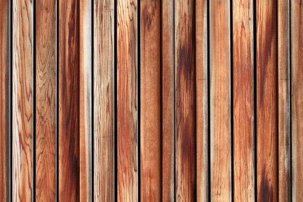老木质部 — 图库照片
