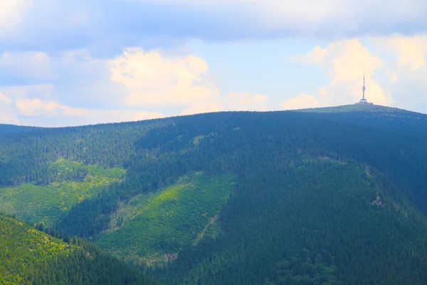 Jeseniky 山自然 — ストック写真