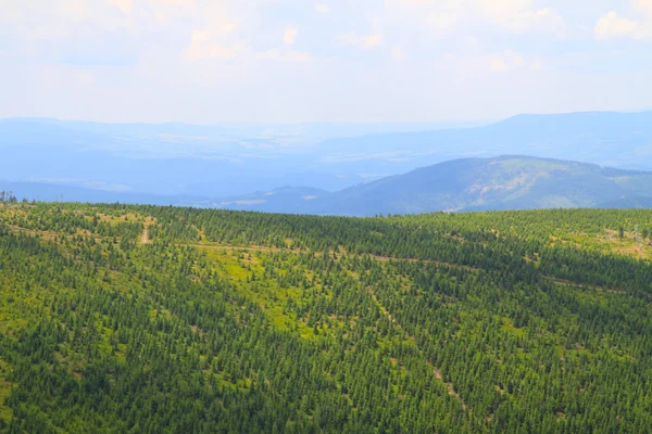 Jeseniky Berge Natur — Stockfoto