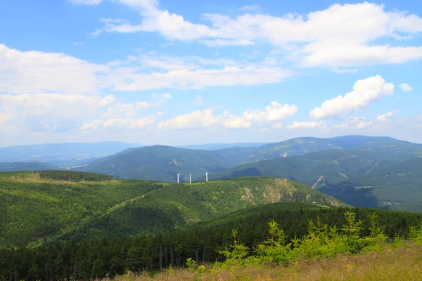 Jeseniky bergen natur — Stockfoto