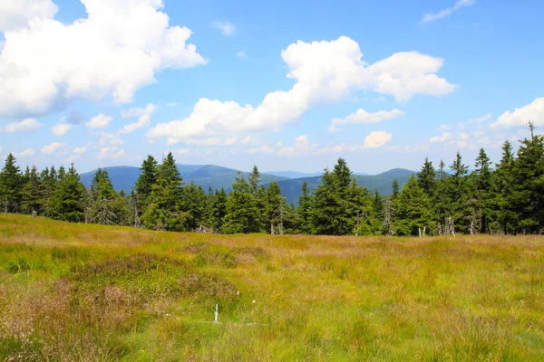 Jeseniky bergen natur — Stockfoto